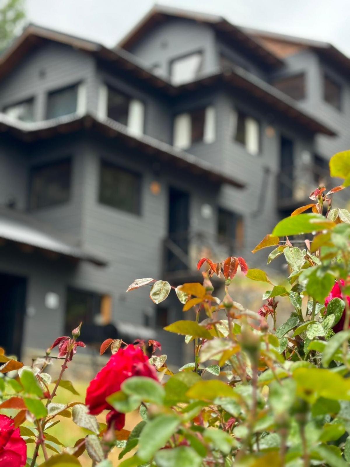 Huilen De Bandurrias Villa San Martín de los Andes Exteriör bild